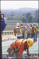 Workers Carry Steel for Deck on Span Two