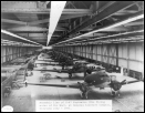 Assembly line of C-47s being produced at the Oklahoma City Douglas Aircraft production plant